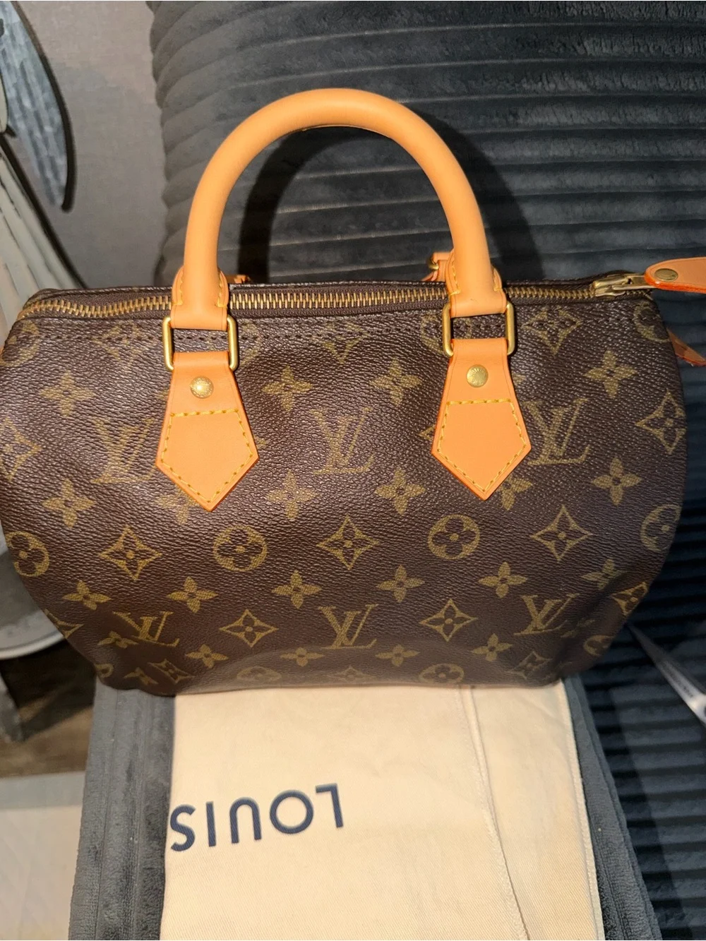 Louis Vuitton Speedy 25 bag